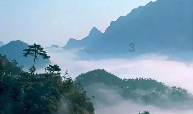 迷你淘气猪逃脱